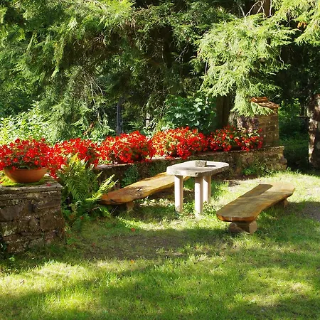 Hébergement de vacances Ferienforsthaus Eifel *